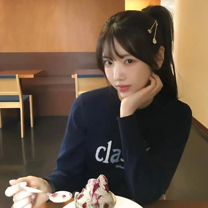 小象守护者